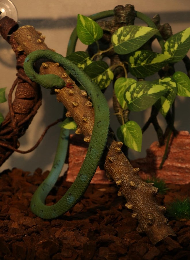 AQUA KT غصن ركن تسلق الزواحف من أكوا كي تي، بتصميم مستوحى من الغابات المطيرة، مناسب لتزيين أحواض الزواحف والثعابين والسحالي وسرطانات الناسك والتنانين الملتحية. - Image 3